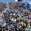 제21회 오산독산성 전국하프마라톤대회